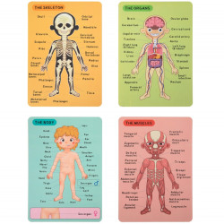 Drewniana, magnetyczna układanka anatomia człowieka, puzzle montessori