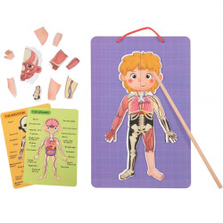 Drewniana, magnetyczna układanka anatomia człowieka, puzzle montessori