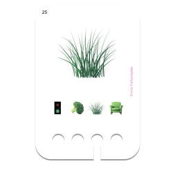 Zabawy z Kolorami – Karty edukacyjne dla dzieci 2+