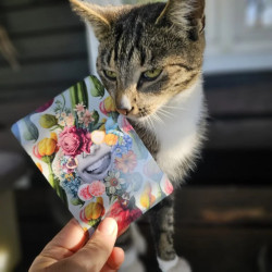 Pewni Siebie - Gra terapeutyczna budująca wiarę w siebie