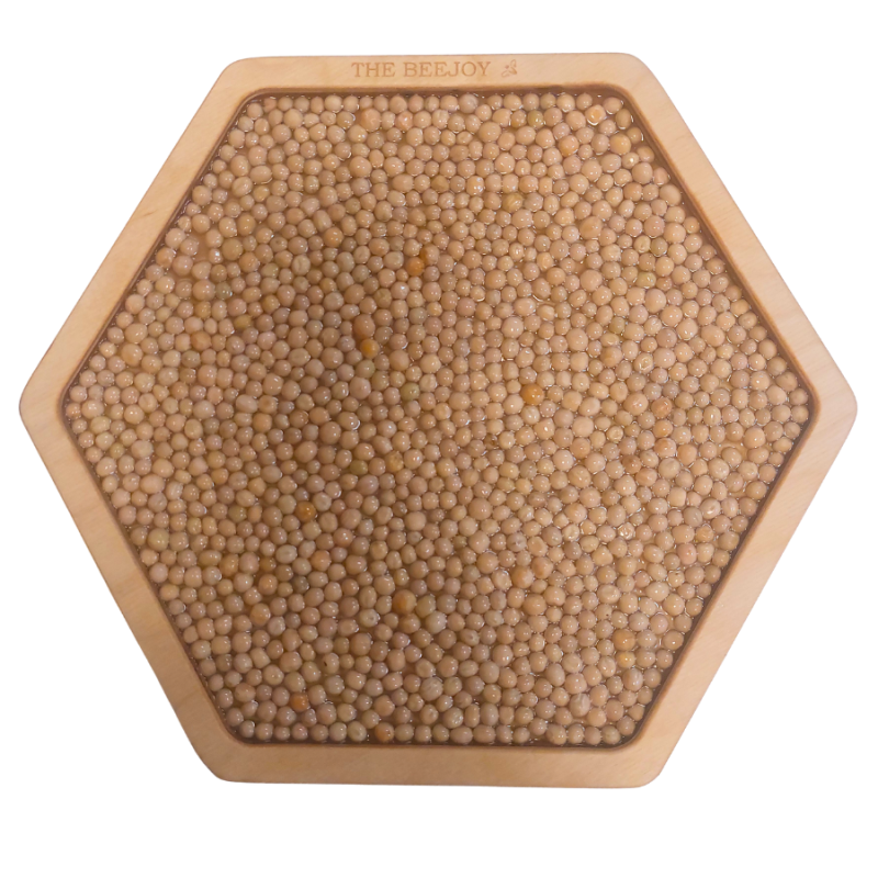 Panel sensoryczny Groch Koleżka z Grochowa